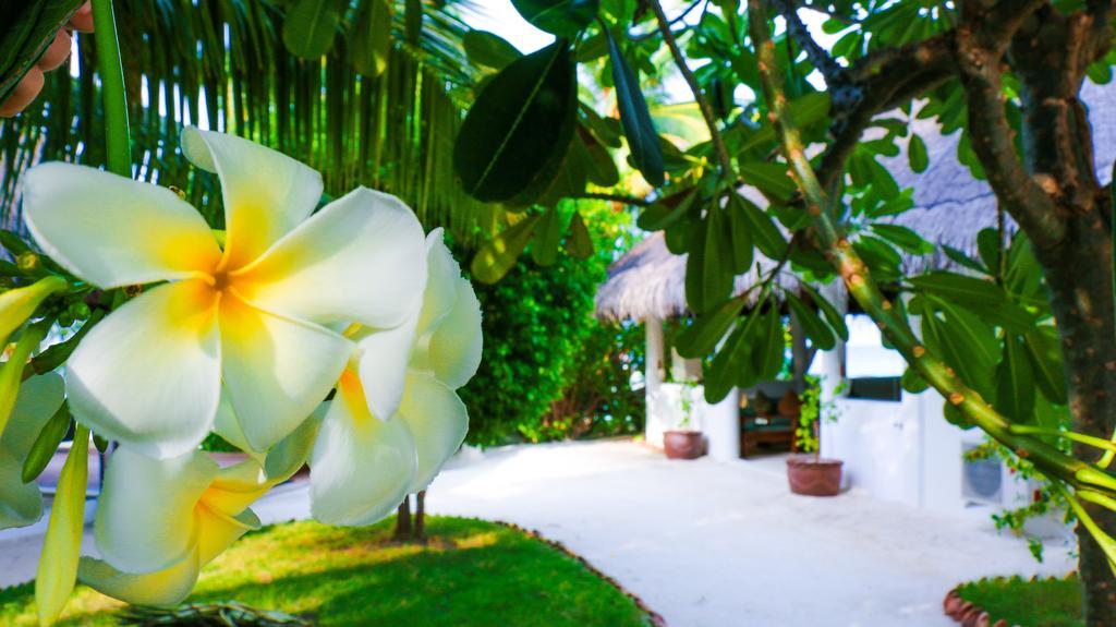 Vakarufalhi Maldives Dhangethi Extérieur photo